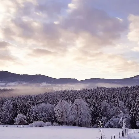 Schusterfranz Σπίτι διακοπών Oberneudorf