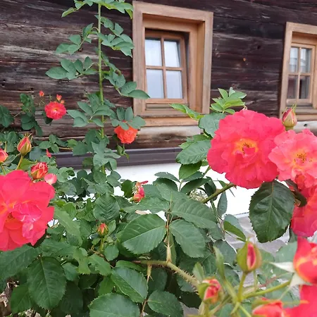 Schusterfranz Holiday home