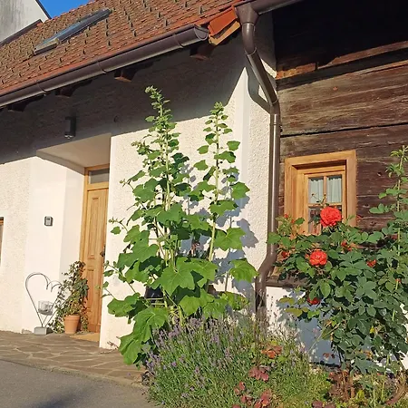 Schusterfranz *