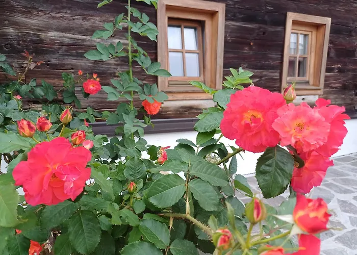 Schusterfranz Holiday home