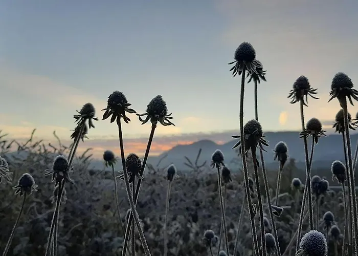 Schusterfranz بيت للعطل Oberneudorf
