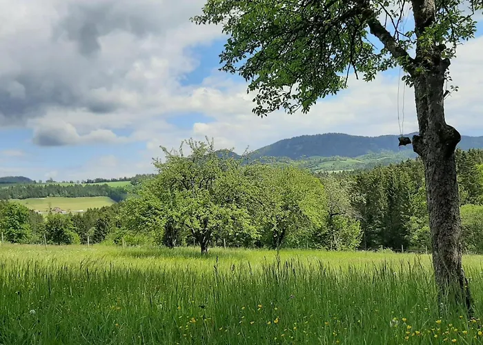 Schusterfranz Holiday home *