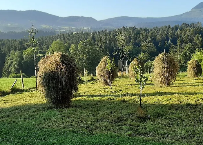 Schusterfranz Holiday home