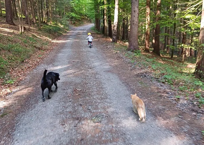 Schusterfranz بيت للعطل